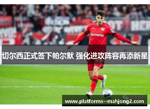 切尔西正式签下帕尔默 强化进攻阵容再添新星 切尔西正式签下帕尔默 强化进攻阵容再添新星
